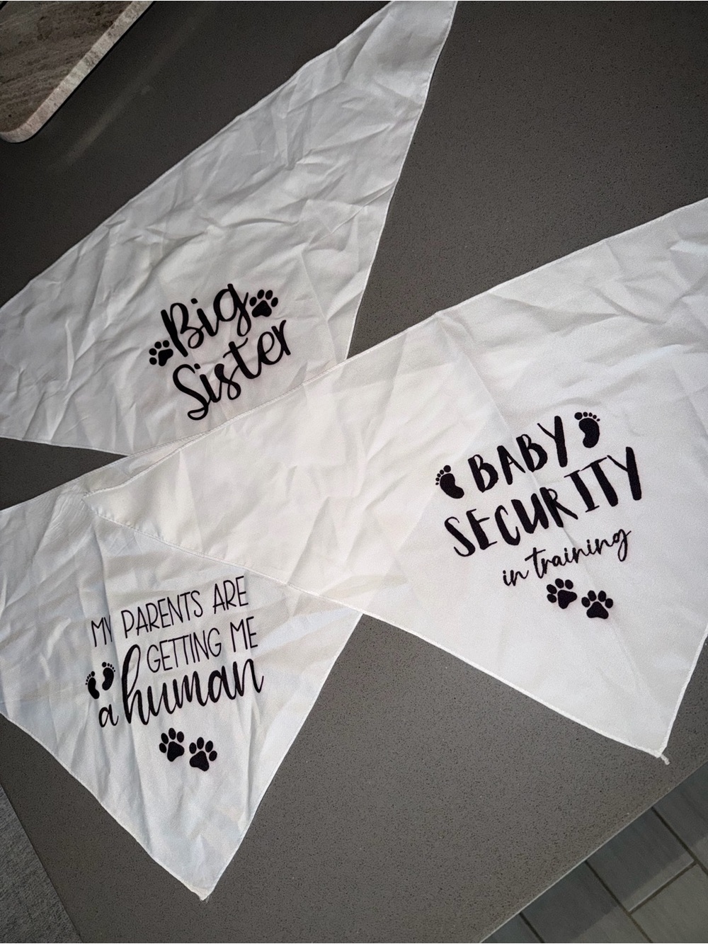 White Pet Bandana Set - 'Big Sister' 'Baby Security' 'Getting Me a Human'